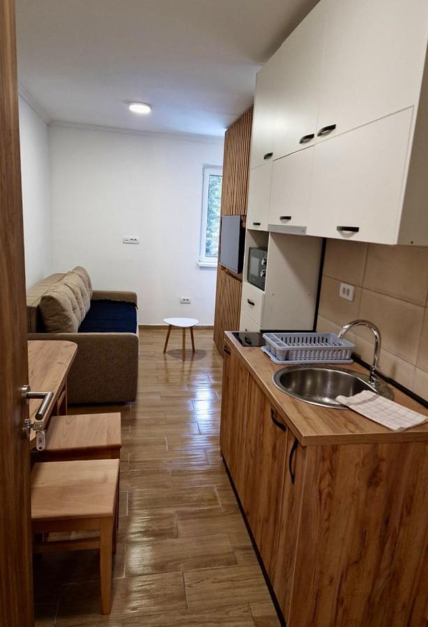 Ferienwohnung Suncana Planina Kopaonik Exterior foto